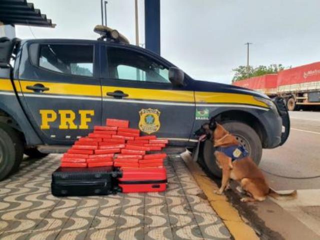 Mulher é presa em flagrante com 30 kg de maconha em ônibus